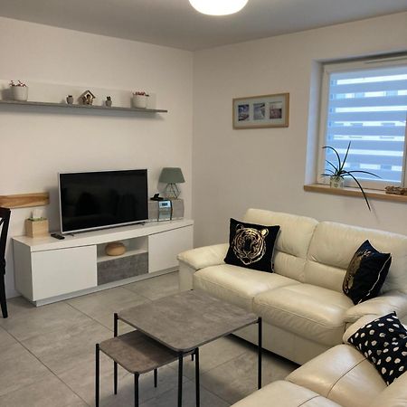 Aga Apartment Gliwice Ngoại thất bức ảnh