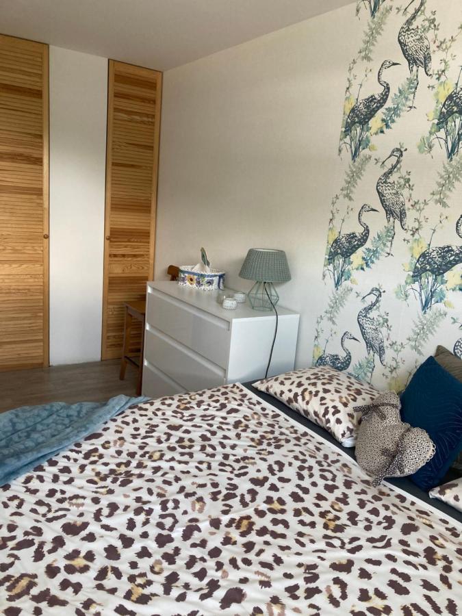 Aga Apartment Gliwice Ngoại thất bức ảnh